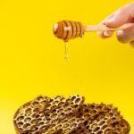 honey, hive, sweetner, sweet, bee, food, yellow, world bee day, honey, honey, honey, hive, hive, hive, hive, hive